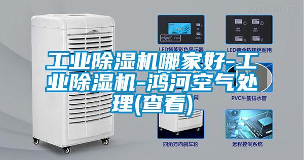 长征娱乐除湿机哪家好-长征娱乐除湿机-鸿河空气处理(查看)