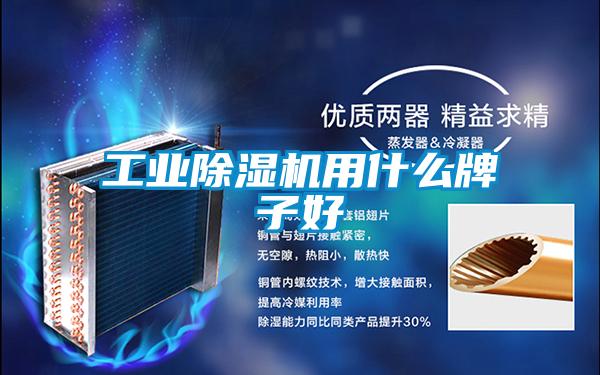 长征娱乐除湿机用什么牌子好