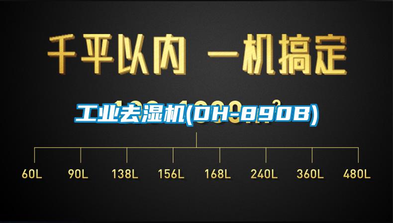 长征娱乐去湿机(DH-890B)