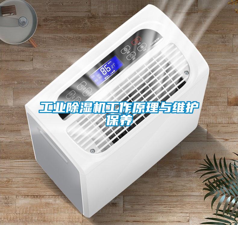 长征娱乐除湿机工作原理与维护保养