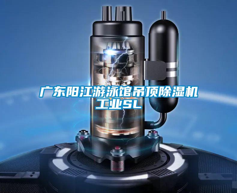 广东阳江游泳馆吊顶除湿机长征娱乐SL
