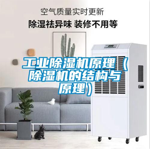 长征娱乐除湿机原理（除湿机的结构与原理）
