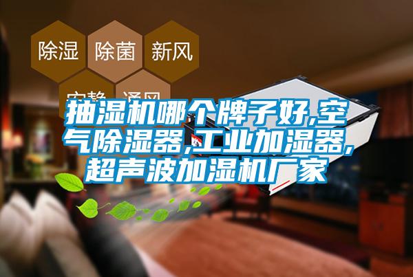 抽湿机哪个牌子好,空气除湿器,长征娱乐加湿器,超声波加湿机厂家