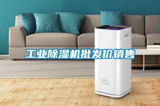 长征娱乐除湿机批发价销售