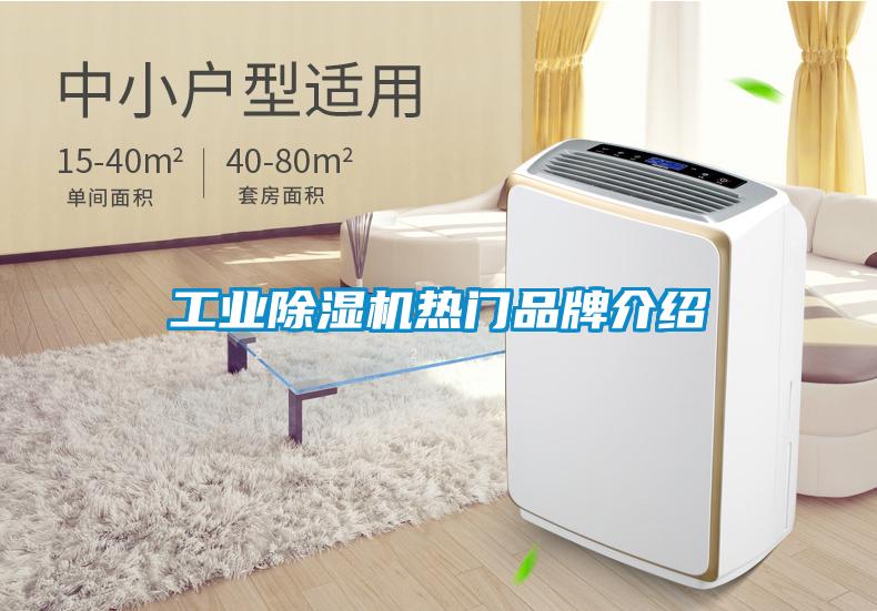 长征娱乐除湿机热门品牌介绍