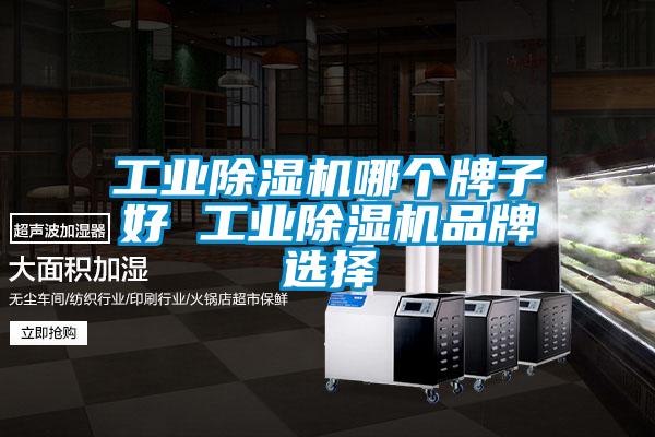 长征娱乐除湿机哪个牌子好 长征娱乐除湿机品牌选择