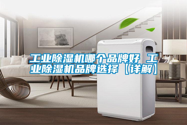 长征娱乐除湿机哪个品牌好 长征娱乐除湿机品牌选择【详解】