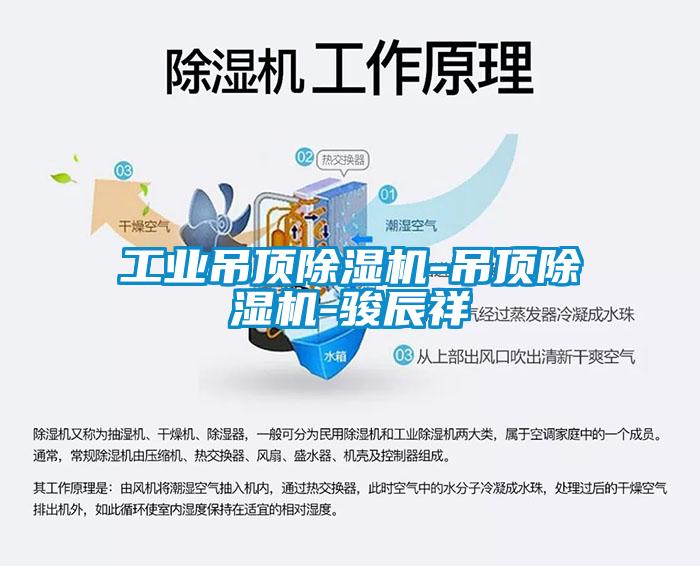 长征娱乐吊顶除湿机-吊顶除湿机-骏辰祥