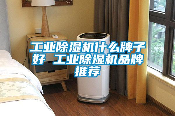 长征娱乐除湿机什么牌子好 长征娱乐除湿机品牌推荐