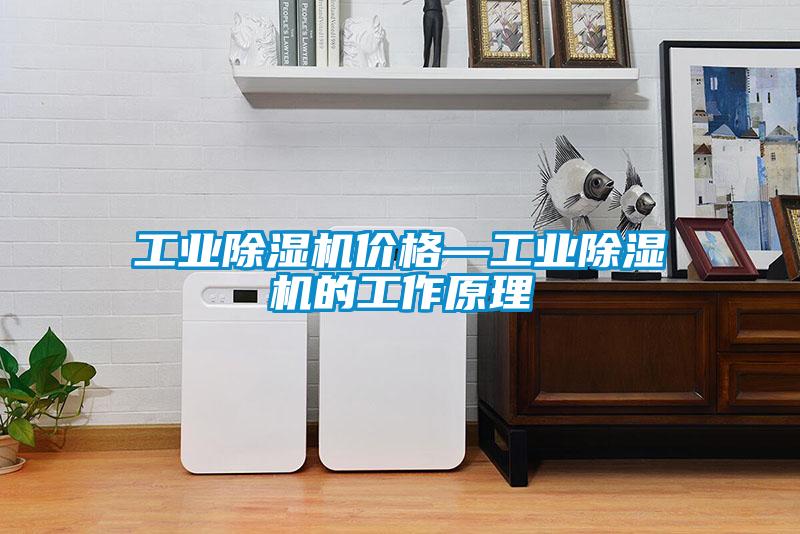 长征娱乐除湿机价格—长征娱乐除湿机的工作原理