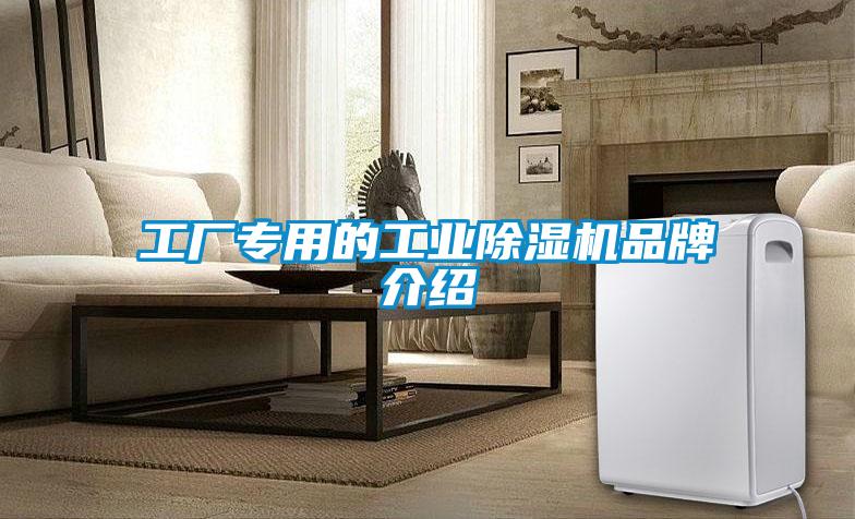 工厂专用的长征娱乐除湿机品牌介绍