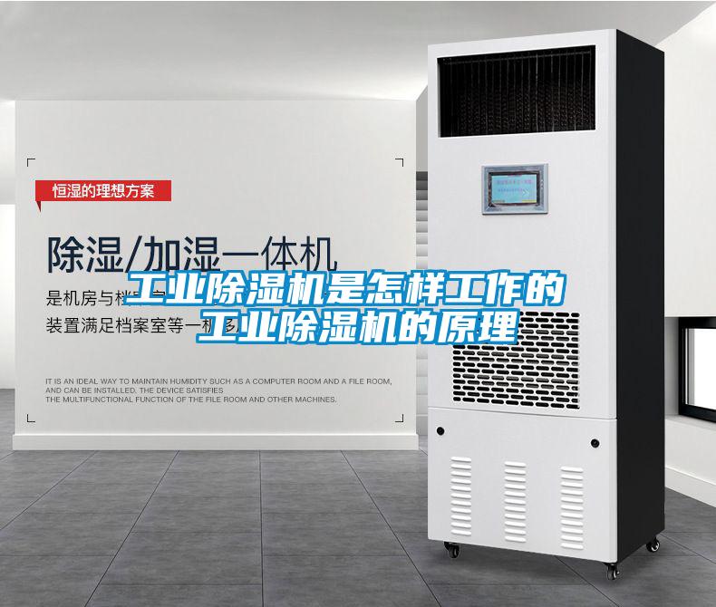 长征娱乐除湿机是怎样工作的 长征娱乐除湿机的原理
