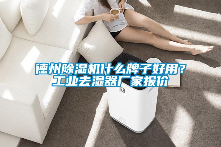 德州除湿机什么牌子好用？长征娱乐去湿器厂家报价