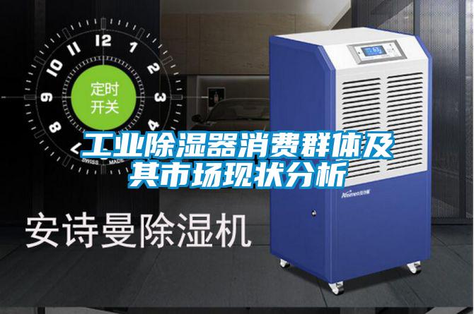 长征娱乐除湿器消费群体及其市场现状分析