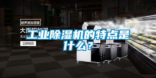 长征娱乐除湿机的特点是什么？