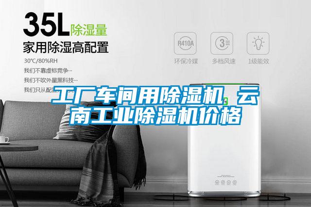 工厂车间用除湿机 云南长征娱乐除湿机价格