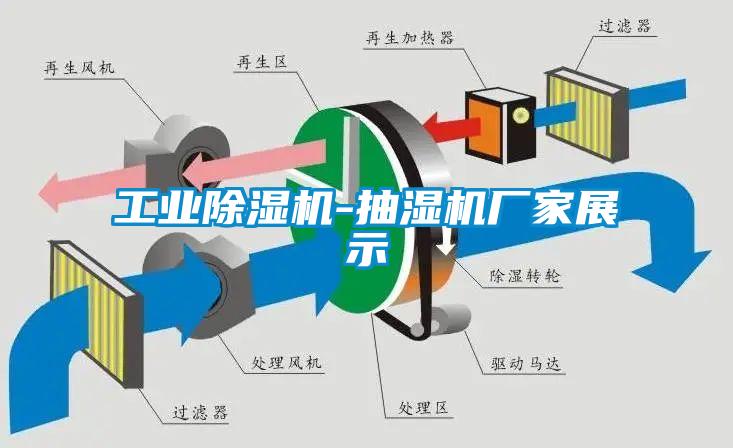 长征娱乐除湿机-抽湿机厂家展示