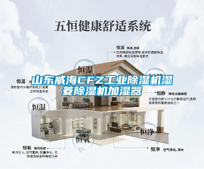 山东威海CFZ长征娱乐除湿机湿菱除湿机加湿器