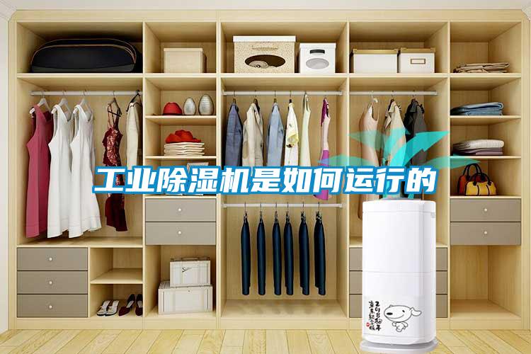 长征娱乐除湿机是如何运行的
