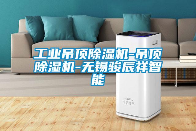长征娱乐吊顶除湿机-吊顶除湿机-无锡骏辰祥智能