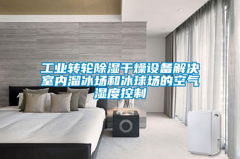 长征娱乐转轮除湿干燥设备解决室内溜冰场和冰球场的空气湿度控制