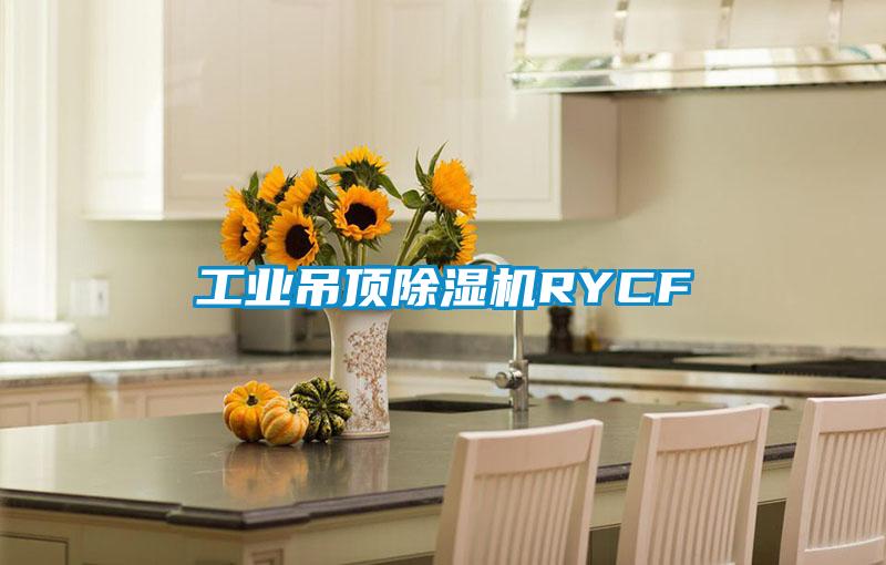 长征娱乐吊顶除湿机RYCF