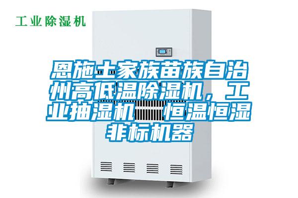 恩施土家族苗族自治州高低温除湿机，长征娱乐抽湿机  恒温恒湿非标机器