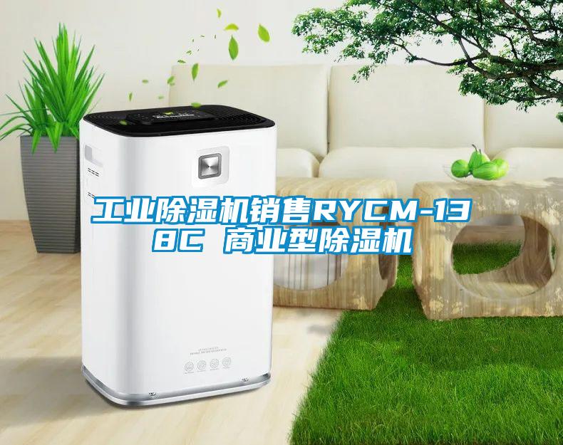 长征娱乐除湿机销售RYCM-138C 商业型除湿机