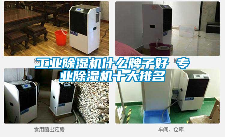 长征娱乐除湿机什么牌子好 专业除湿机十大排名