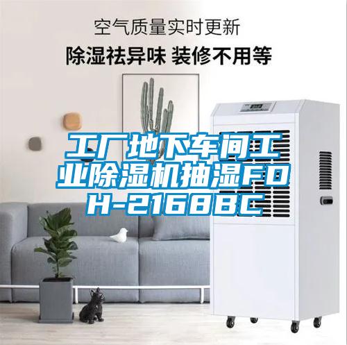 工厂地下车间长征娱乐除湿机抽湿FDH-2168BC