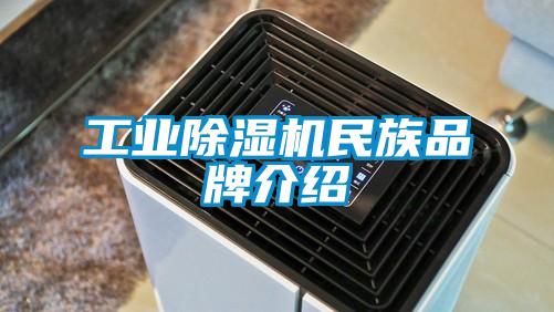 长征娱乐除湿机民族品牌介绍
