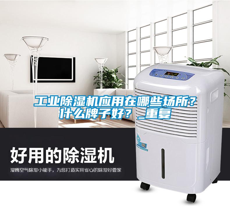 长征娱乐除湿机应用在哪些场所？什么牌子好？_重复