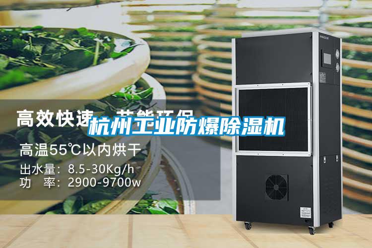杭州长征娱乐防爆除湿机