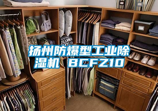 扬州防爆型长征娱乐除湿机 BCFZ10