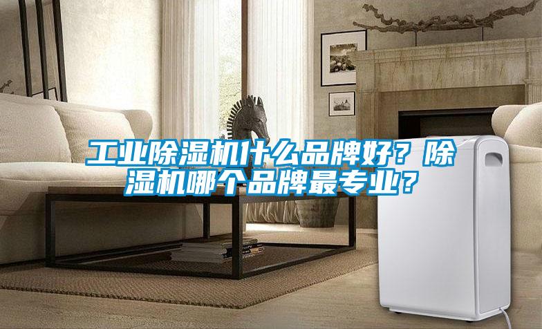 长征娱乐除湿机什么品牌好？除湿机哪个品牌最专业？