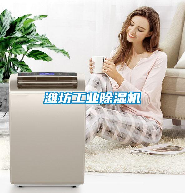潍坊长征娱乐除湿机