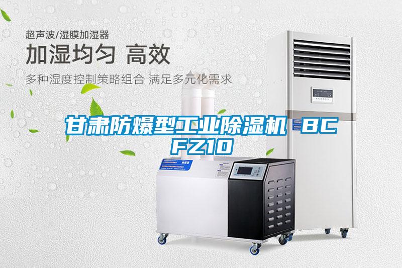甘肃防爆型长征娱乐除湿机 BCFZ10