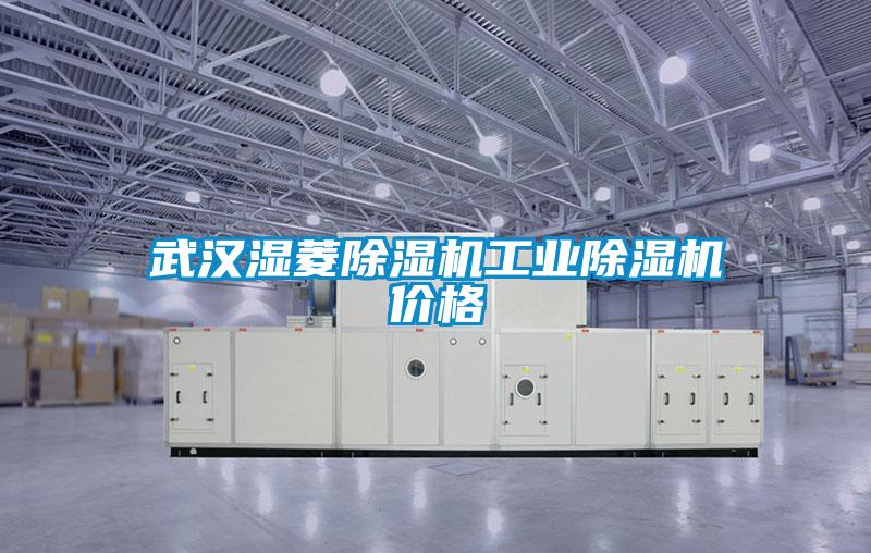 武汉湿菱除湿机长征娱乐除湿机价格