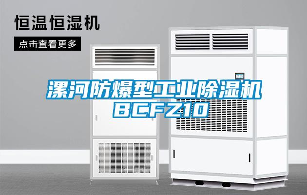 漯河防爆型长征娱乐除湿机 BCFZ10