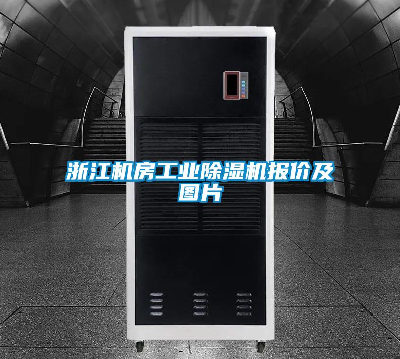 浙江机房长征娱乐除湿机报价及图片