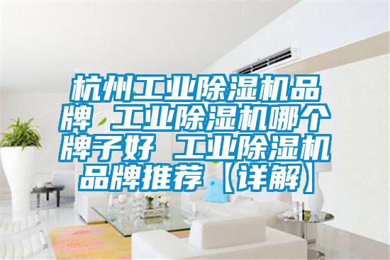 杭州长征娱乐除湿机品牌 长征娱乐除湿机哪个牌子好 长征娱乐除湿机品牌推荐【详解】