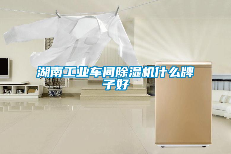湖南长征娱乐车间除湿机什么牌子好