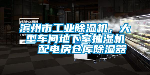 滨州市长征娱乐除湿机，大型车间地下室抽湿机  配电房仓库除湿器