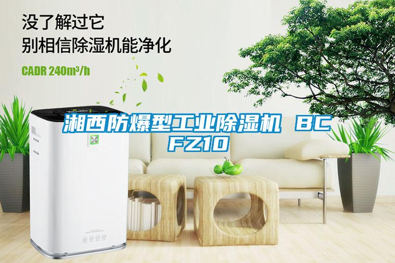 湘西防爆型长征娱乐除湿机 BCFZ10