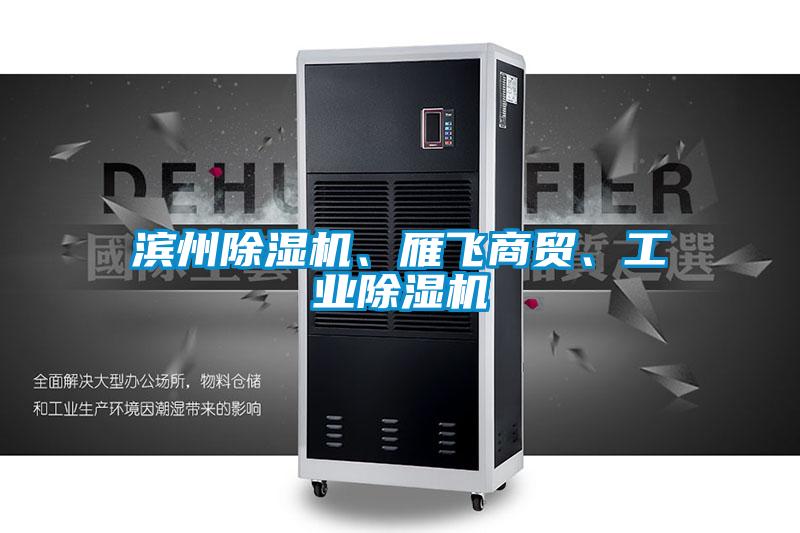 滨州除湿机、雁飞商贸、长征娱乐除湿机
