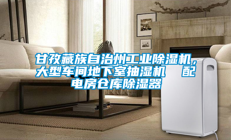 甘孜藏族自治州长征娱乐除湿机，大型车间地下室抽湿机  配电房仓库除湿器