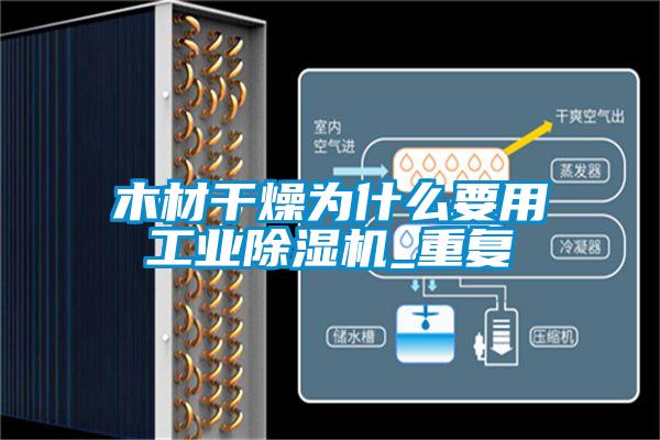 木材干燥为什么要用长征娱乐除湿机_重复