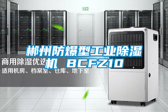 郴州防爆型长征娱乐除湿机 BCFZ10