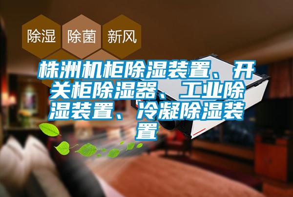 株洲机柜除湿装置、开关柜除湿器、长征娱乐除湿装置、冷凝除湿装置
