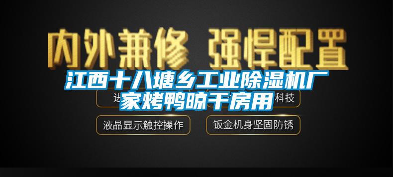 江西十八塘乡长征娱乐除湿机厂家烤鸭晾干房用